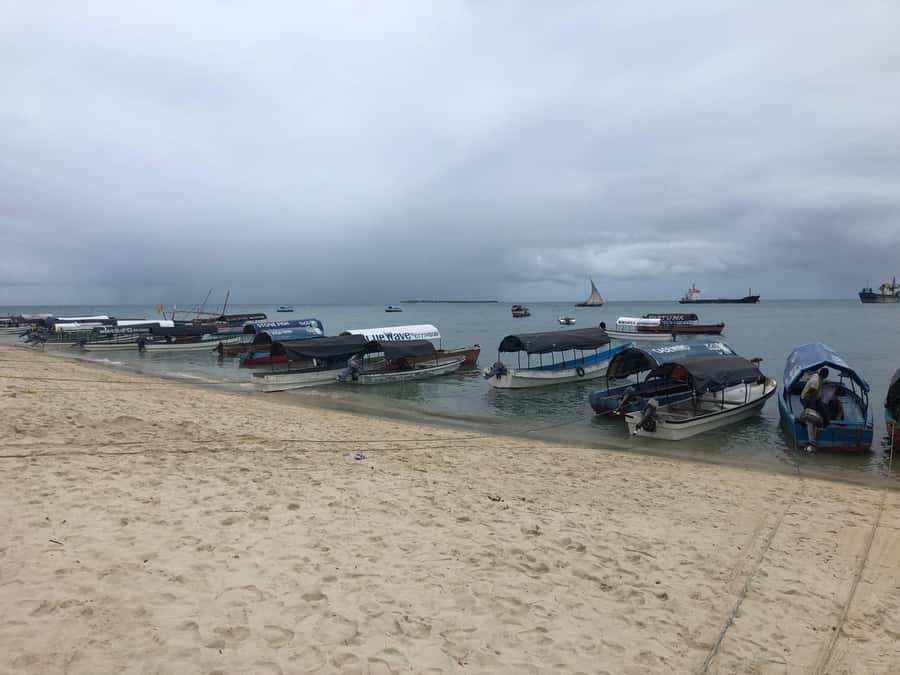 Zanzibar: Prison Island, Stone Town, & Spice Farm Tour - Prison Island and the giant tortoise sanctuary