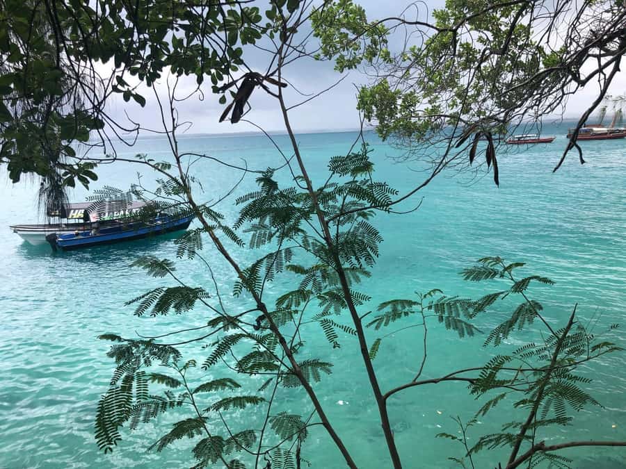 Zanzibar: Prison Island, Stone Town, & Spice Farm Tour - Heat, walking, and practical preparation