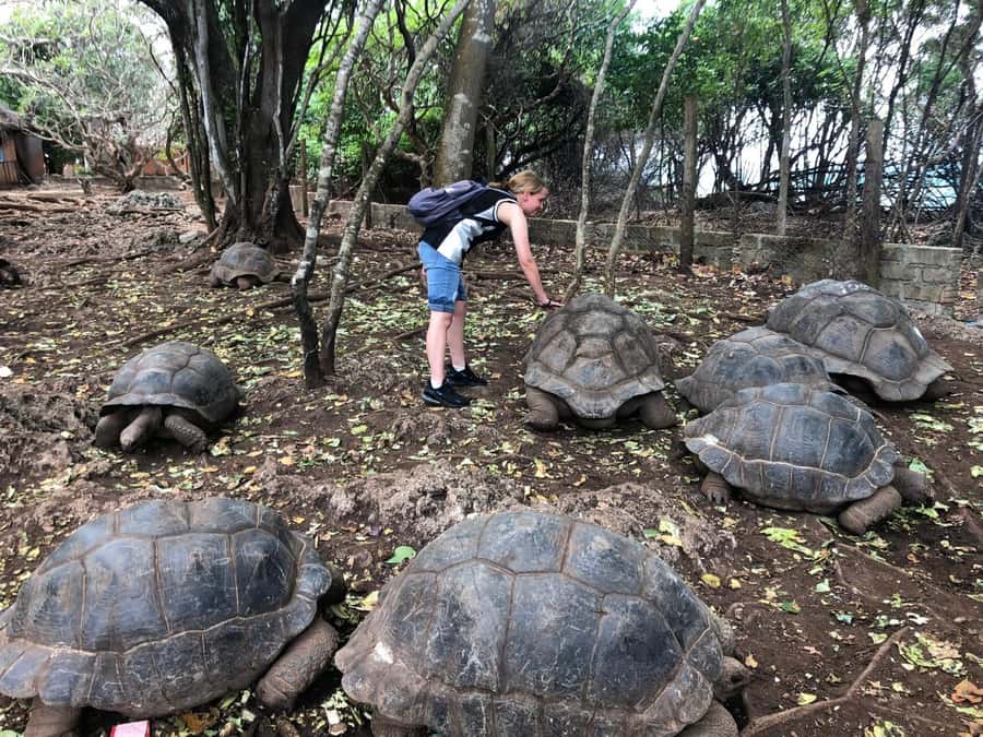 Zanzibar: Prison Island, Stone Town, & Spice Farm Tour - The morning pickup and road to the coast