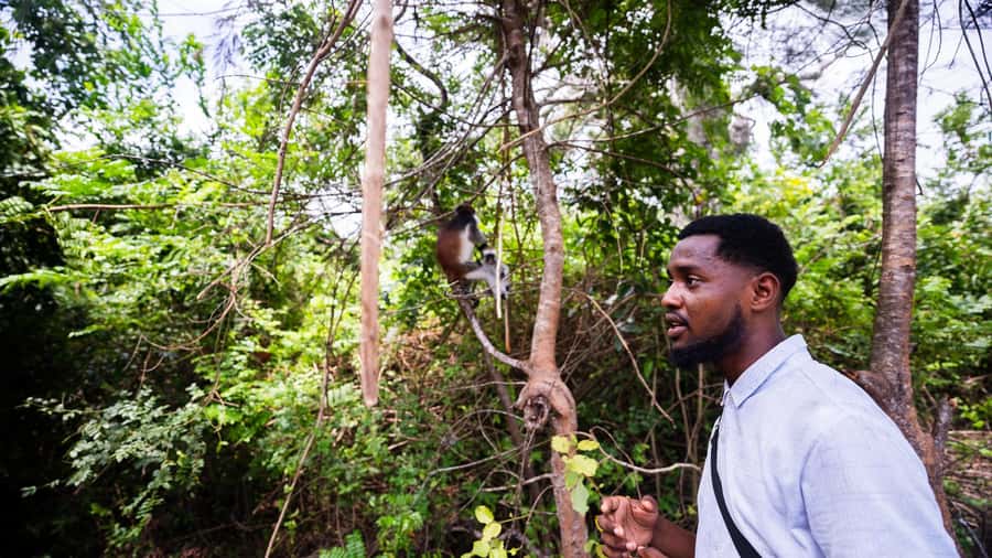 Zanzibar: Prison Island, Tortoise, Jozani Forest Guided Tour - The tortoise enclosure deserves a clear-eyed look