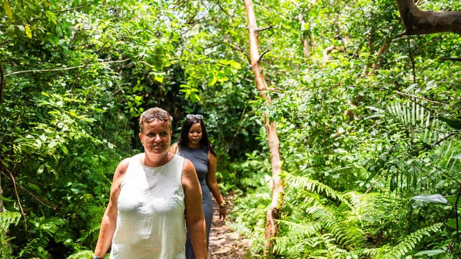 Zanzibar: Prison Island, Tortoise, Jozani Forest Guided Tour - What to bring for a smoother day