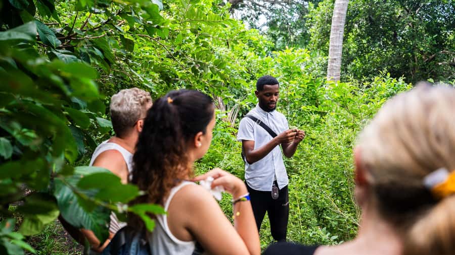 Zanzibar: Prison Island, Tortoise, Jozani Forest Guided Tour - The complicated story behind Prison Island