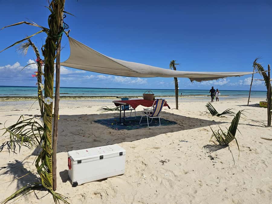 Zanzibar: Prison Island Tour with Lunch on the Sandbank - From Stone Town to Prison Island by boat