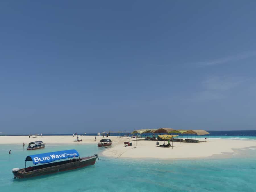 Zanzibar: Prison Island Tour with Lunch on the Sandbank - What the $99 price really includes