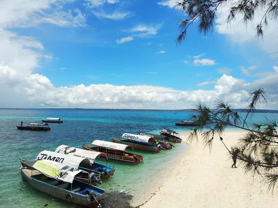 Zanzibar: Prison Island Tour with Lunch on the Sandbank - Prison Island’s strange prison story