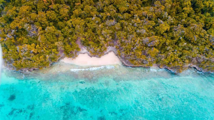 Zanzibar: Private Sail to Pungume Sandbank with BBQ Lunch - Searching for dolphins near Kizimkazi