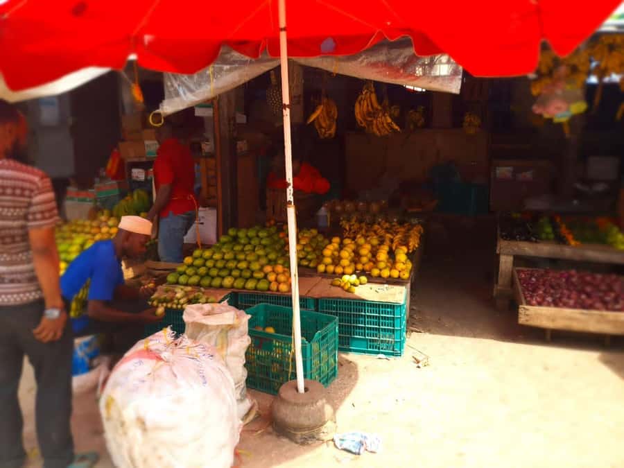 Zanzibar: Private walking tour in stone town - Old Fort, House of Wonders, and palace architecture