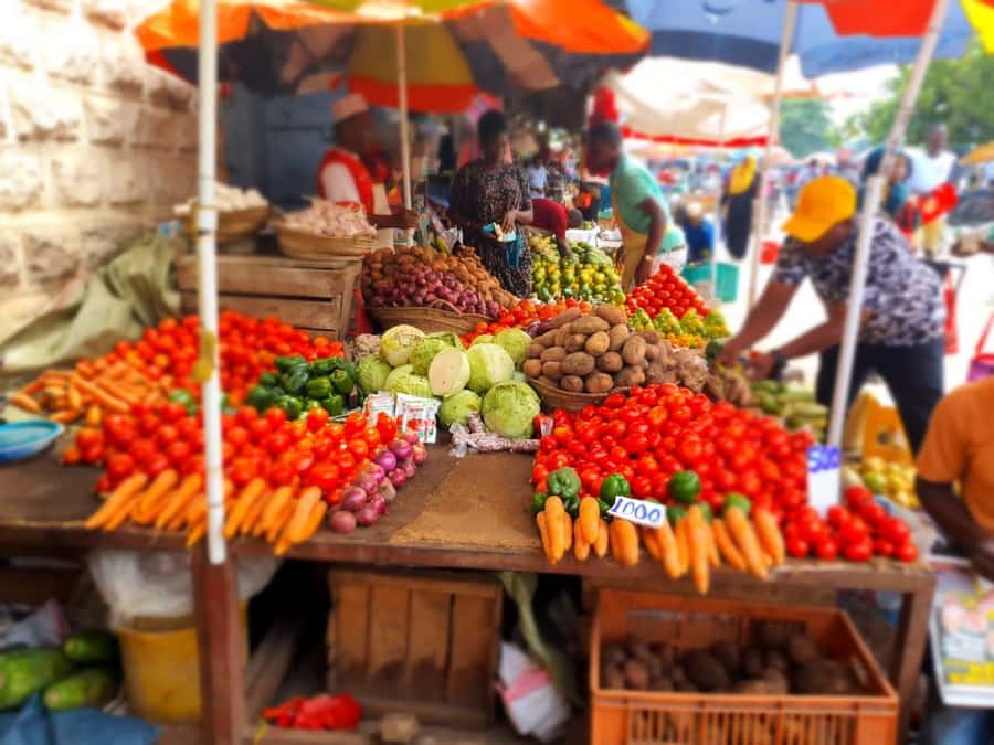 Zanzibar: Private walking tour in stone town - Final call: book it or skip it?