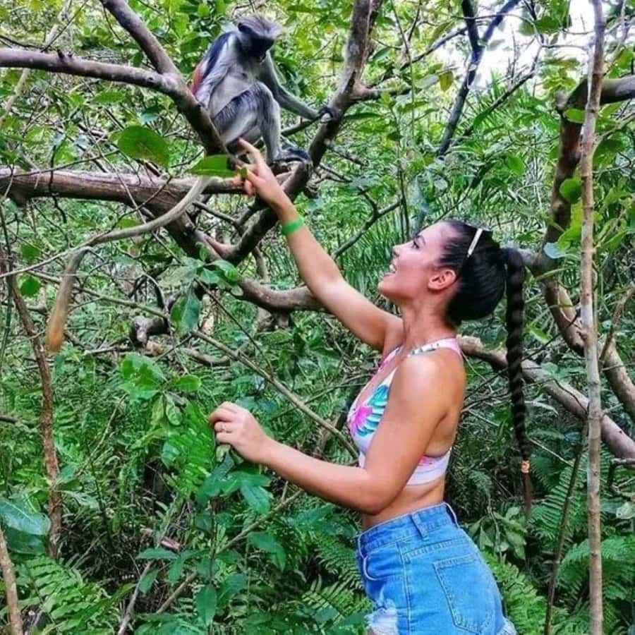 Zanzibar: Red Colobus Monkeys in Jozani Forest Guided Tour - Hotel pickup and the road to Jozani