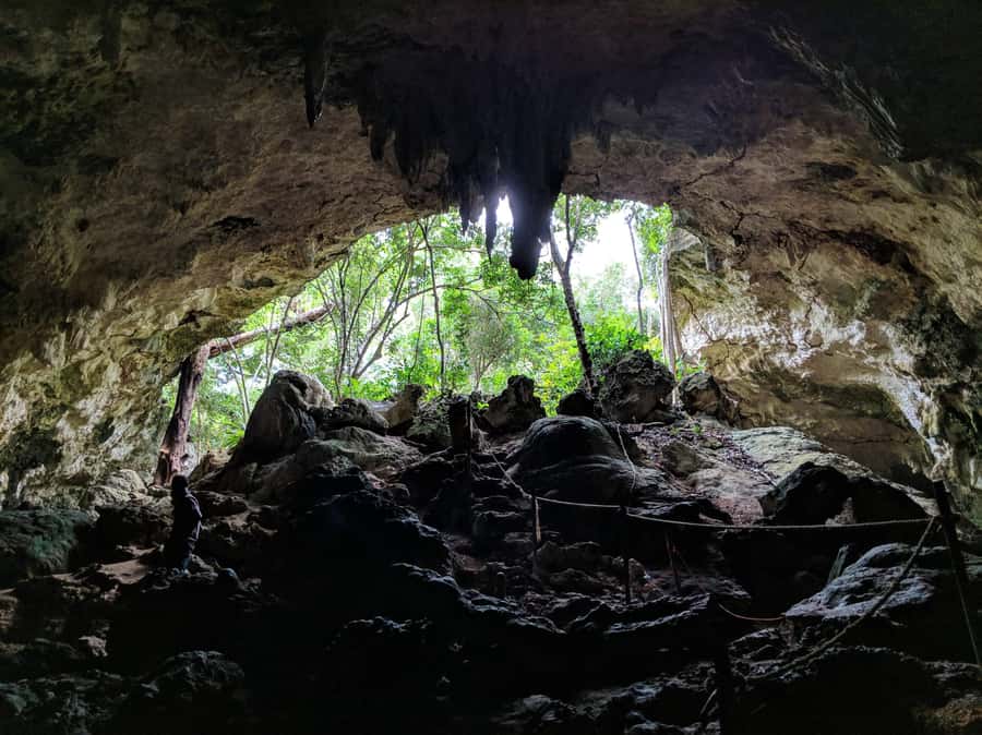 Zanzibar: Rock Restaurant and Cave Tour Visit - Practical details for a smoother day