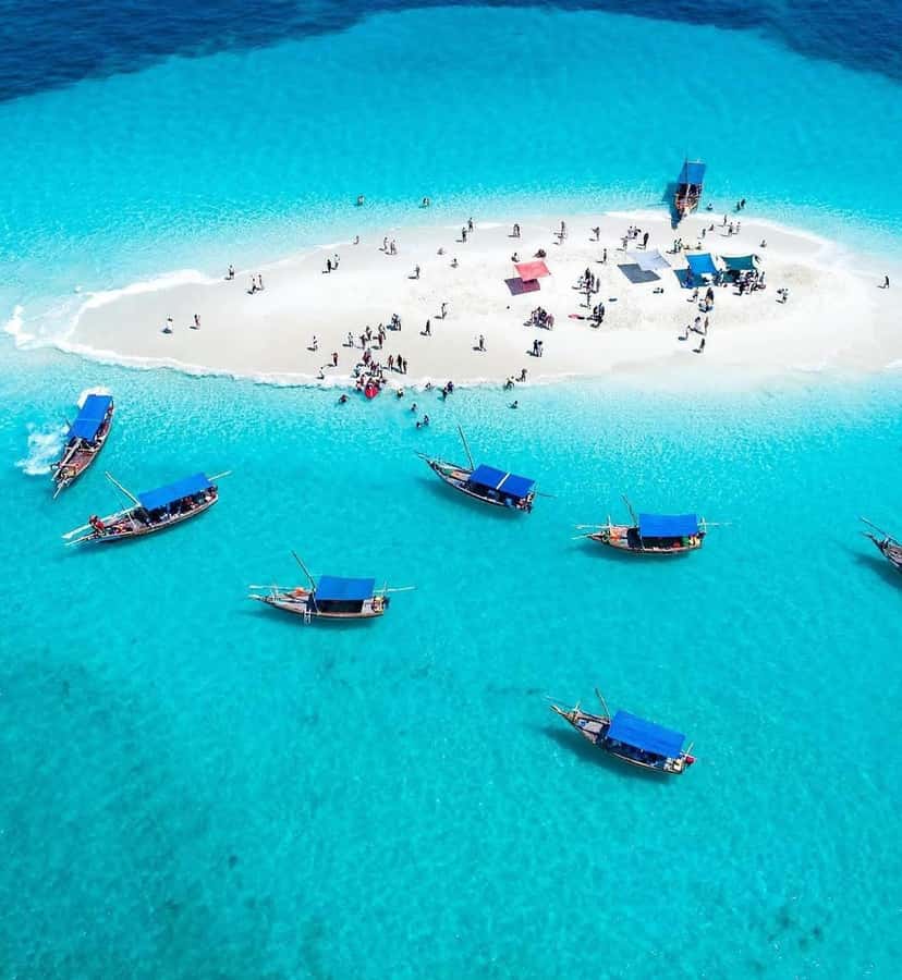 Zanzibar: Safari Blue Lagoon Trip with Snorkeling and Lunch - Key points to know before you book
