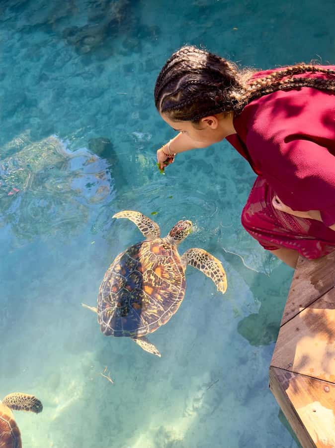Zanzibar: Sea Turtle Swim at Kizimkazi Salaam Cave Tour - What makes Salaam Cave different