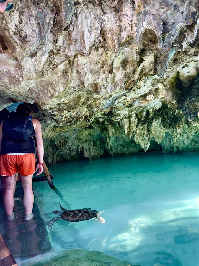Zanzibar: Sea Turtle Swim at Kizimkazi Salaam Cave Tour - Swimming with the turtles