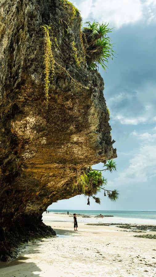 Zanzibar : Secret Beach, Kuza Cave and Jozani with transfer - Key points to know before booking