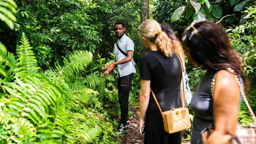 Zanzibar : Secret Beach, Kuza Cave and Jozani with transfer - Practical advice for a smoother day
