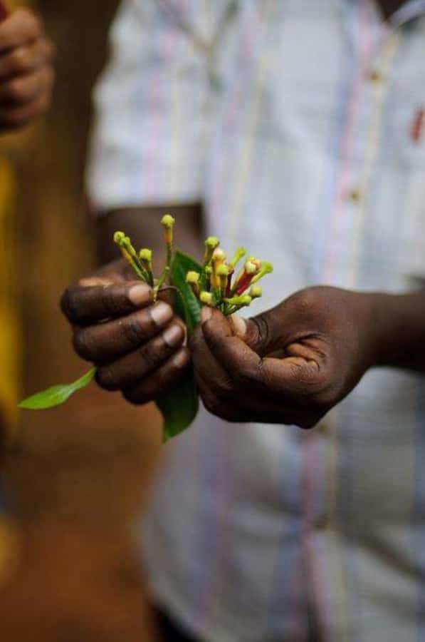 Zanzibar: Spice Farm Tour & Stone Town Adventure - Hotel transfers make the half-day easier