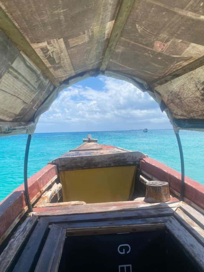 Zanzibar: Spice Tour, Stone Town tour & Prison Island - Prison Island brings the day out to sea