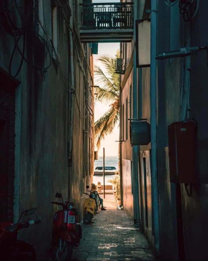 Zanzibar: Spice Tour & Stone Town Walking Tour - Darajani Market is real Stone Town, not a stage set