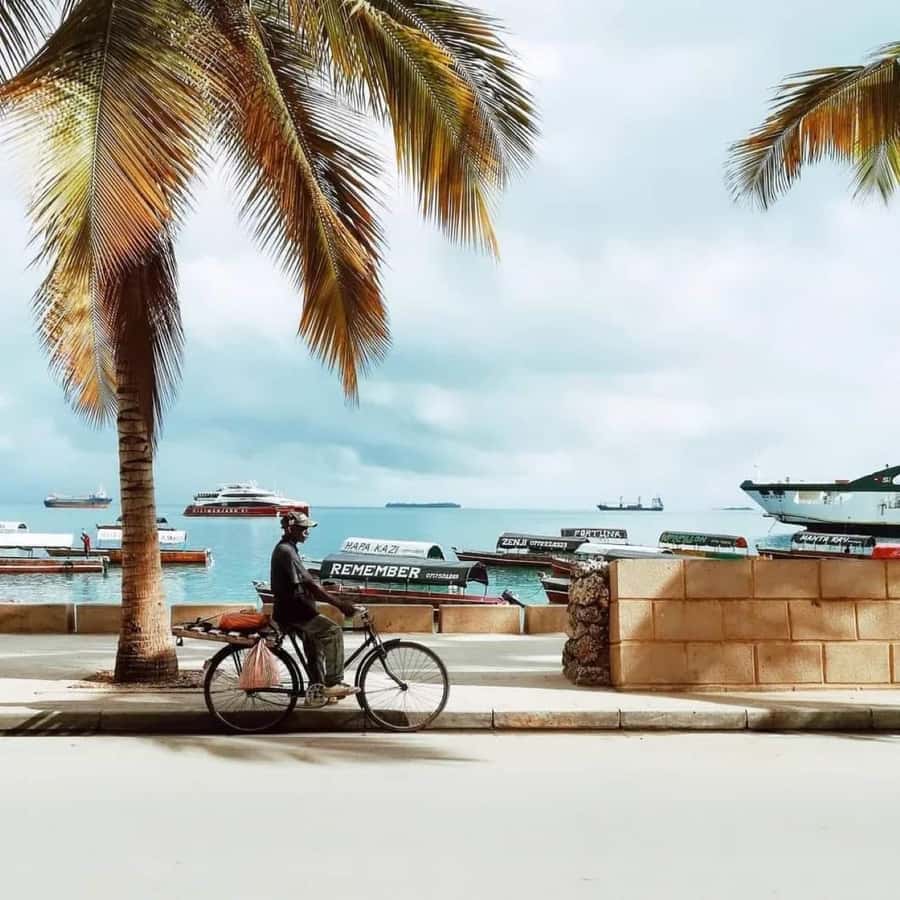 Zanzibar: Spice Tour & Stone Town Walking Tour - Is $95 per person a fair price?