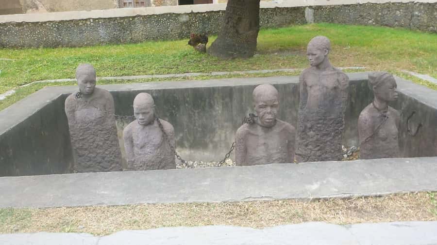 Zanzibar: Stone Town City Tour and Spice Farm with Lunch - What to bring and how to plan the day