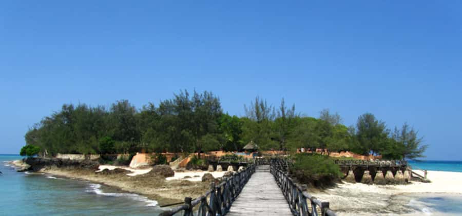 Zanzibar: Stone Town Guided Tour with Prison Island - Prison Island’s old buildings and giant tortoises