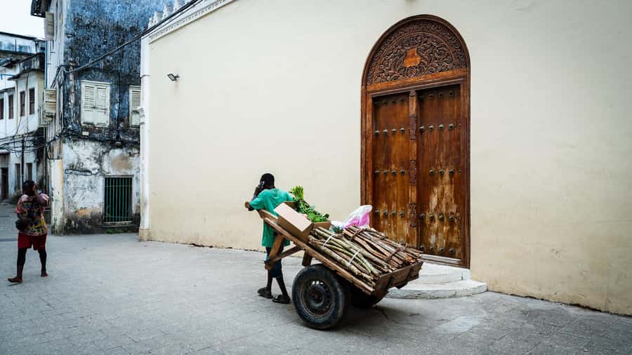 Zanzibar: Stone Town Historical Cultural Walking Guided Tour - Key points at a glance