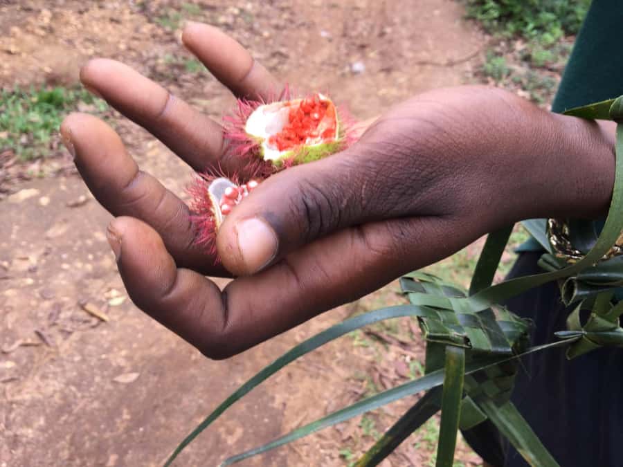 Zanzibar:Stone Town & Spice Farm Private Tour Lunch Included - City Market, fish auction, and daily life