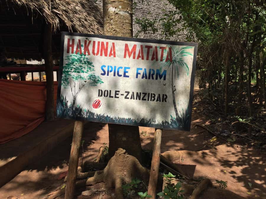 Zanzibar:Stone Town & Spice Farm Private Tour Lunch Included - The Old Slave Market and Anglican Church