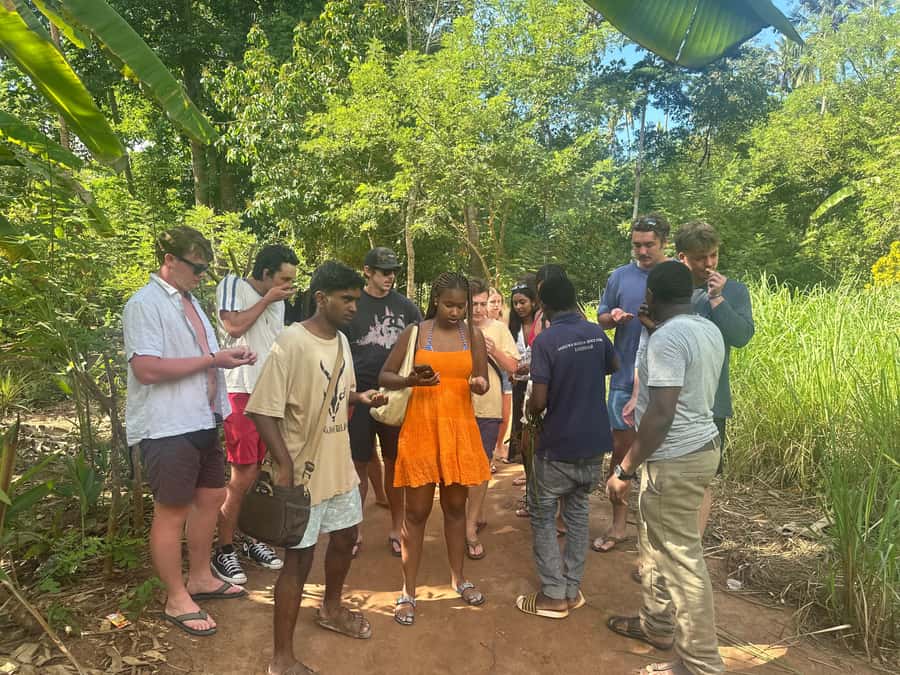 Zanzibar:Stone Town & Spice Farm Private Tour Lunch Included - Who gets the best value from this tour