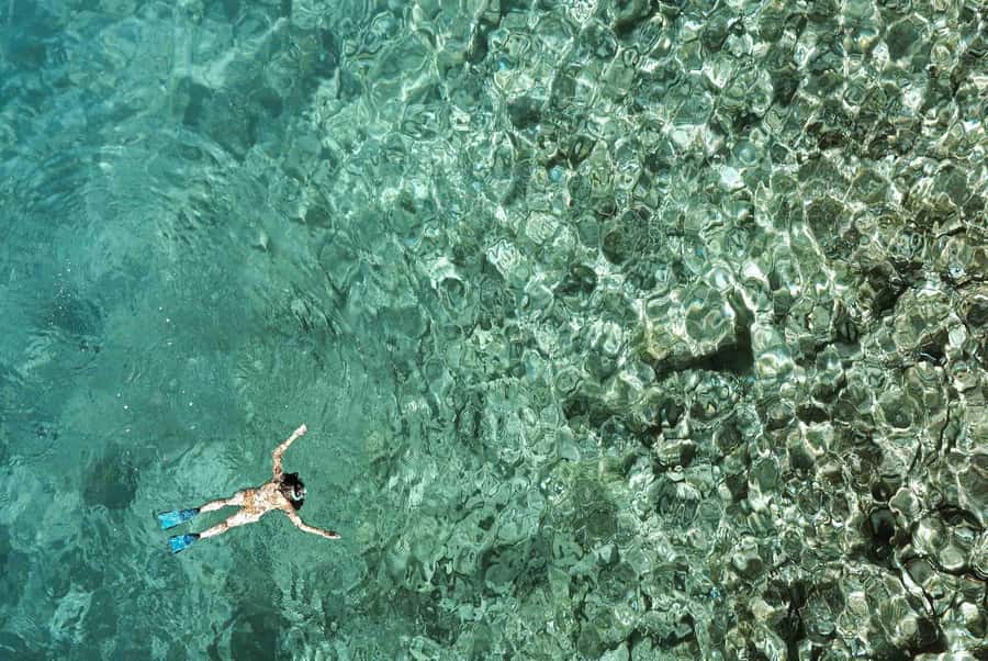 Zanzibar : Swim with dolphin + Snorkel mnemba coral Reef - The dolphin encounter needs an honest warning