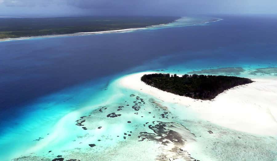 Zanzibar : Swim with dolphin + Snorkel mnemba coral Reef - Who will enjoy this trip most