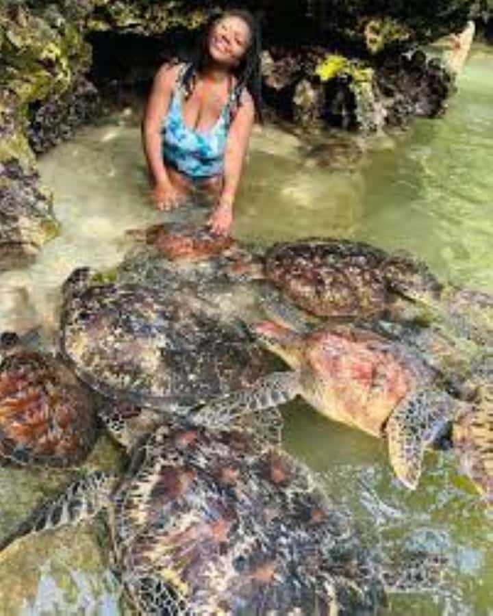 Zanzibar: Swim with Sea Turtles at Baraka or Salaam Aquarium - Photography, goggles, and time in the water