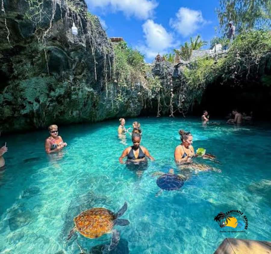 Zanzibar: Swimming with Turtles at Salaam Cave Aquarium - Conservation, feeding, and the ethical question