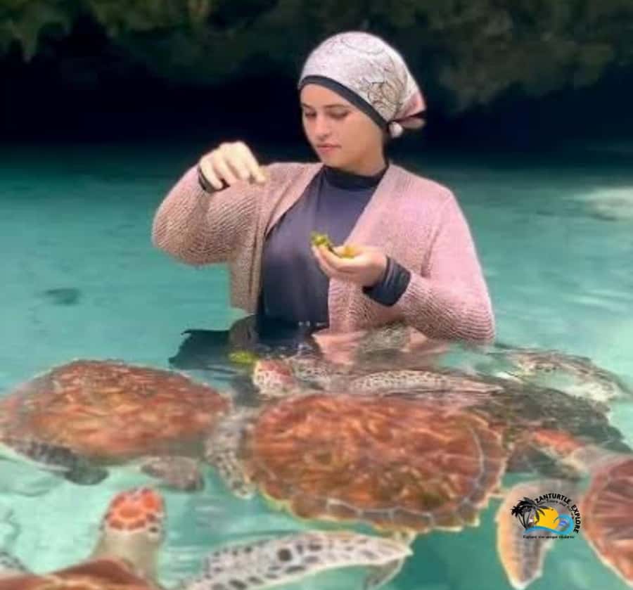 Zanzibar: Swimming with Turtles at Salaam Cave Aquarium - Who will enjoy this outing most