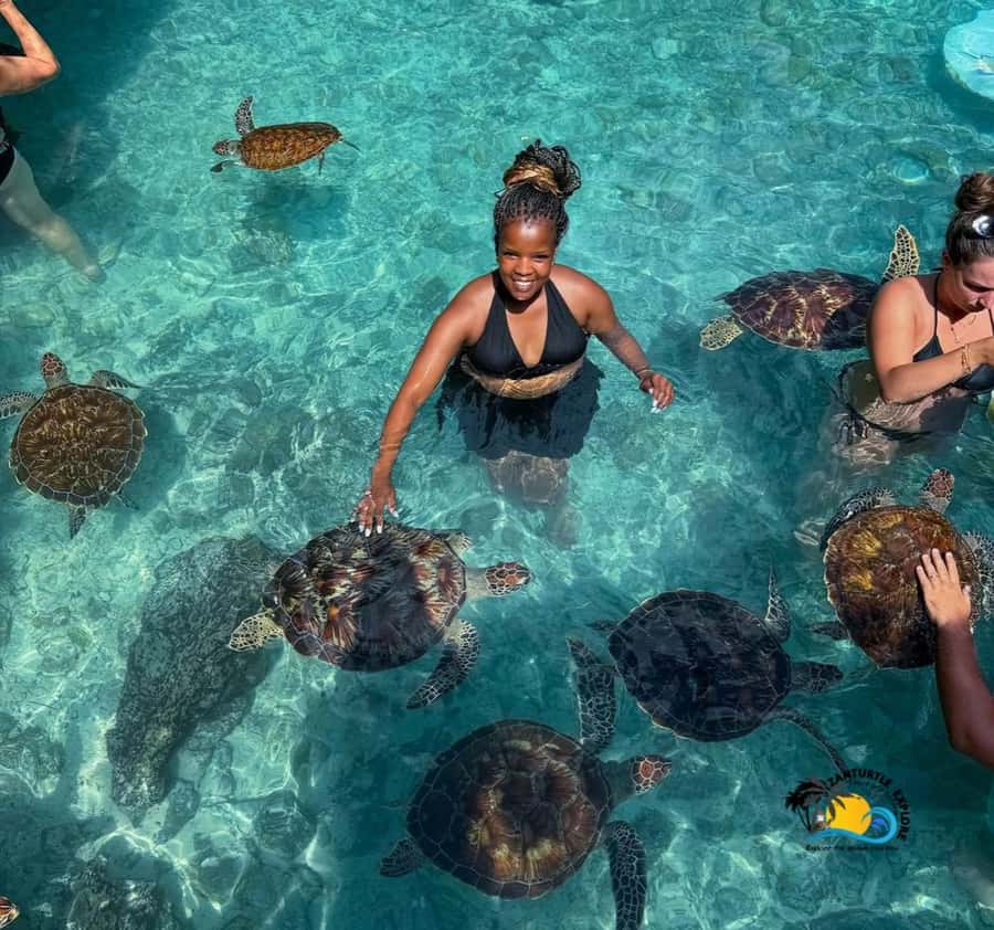 Zanzibar: Swimming with Turtles at Salaam Cave Aquarium - Arriving at Salaam Cave in Kizimkazi
