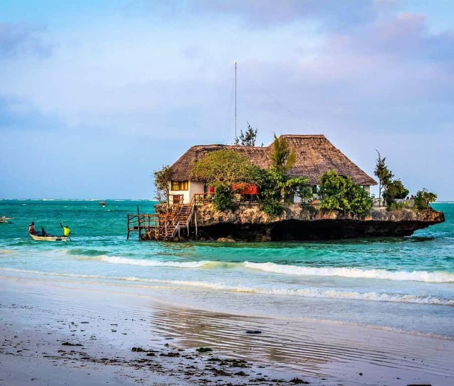 Zanzibar: The Rock, Paje Beach, Jozani Forest, Salaam Cave - Jozani Forest and the red colobus monkeys