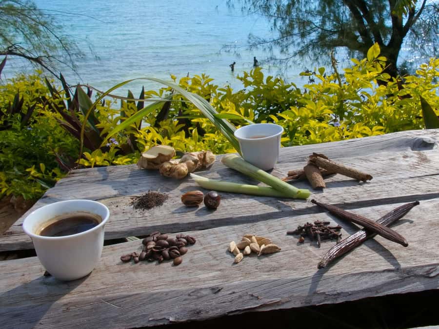 Zanzibar: The Swahili Spice Experience - Spice Tour + Culinary Journey - Fresh fruit, coconut water, and the palm climber
