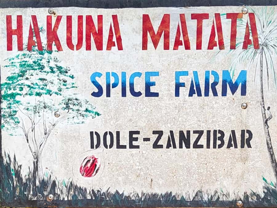 Zanzibar: The Swahili Spice Experience - Spice Tour + Culinary Journey - What the $21 price really buys you